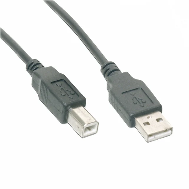 CBL USB2.0 A PLUG TO B PLG 9.84'
