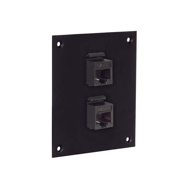 USP SUB-PNL W/2 CAT6 CPLR STR