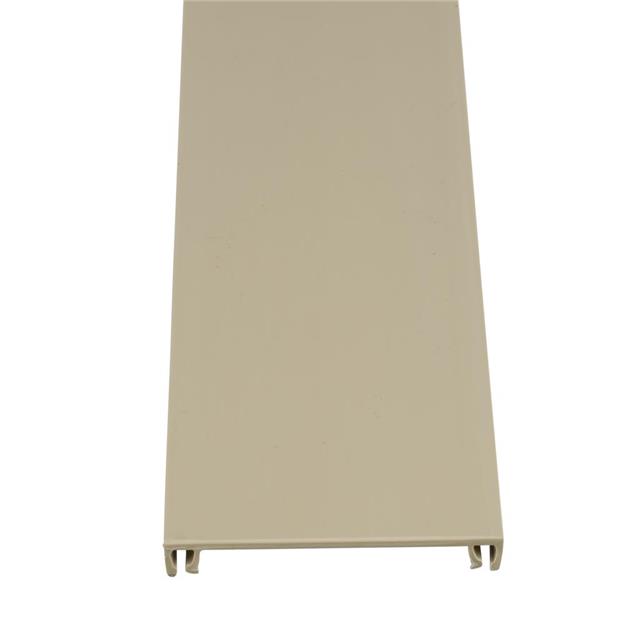 COVER RACEWAY PWR IVRY 10'