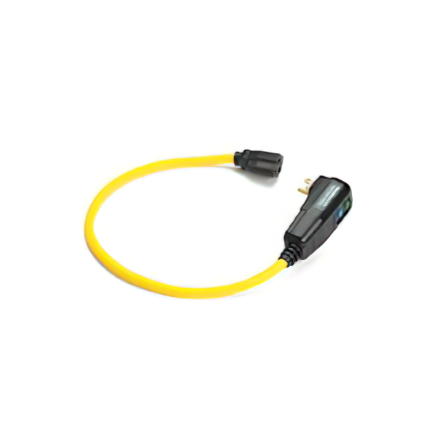 GFCI PLUG 125V 2'