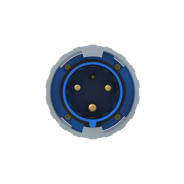 2P+E INDUSTRIAL PLUG, REPLACES P 2P+E INDUSTRIAL PLUG, REPLACES P