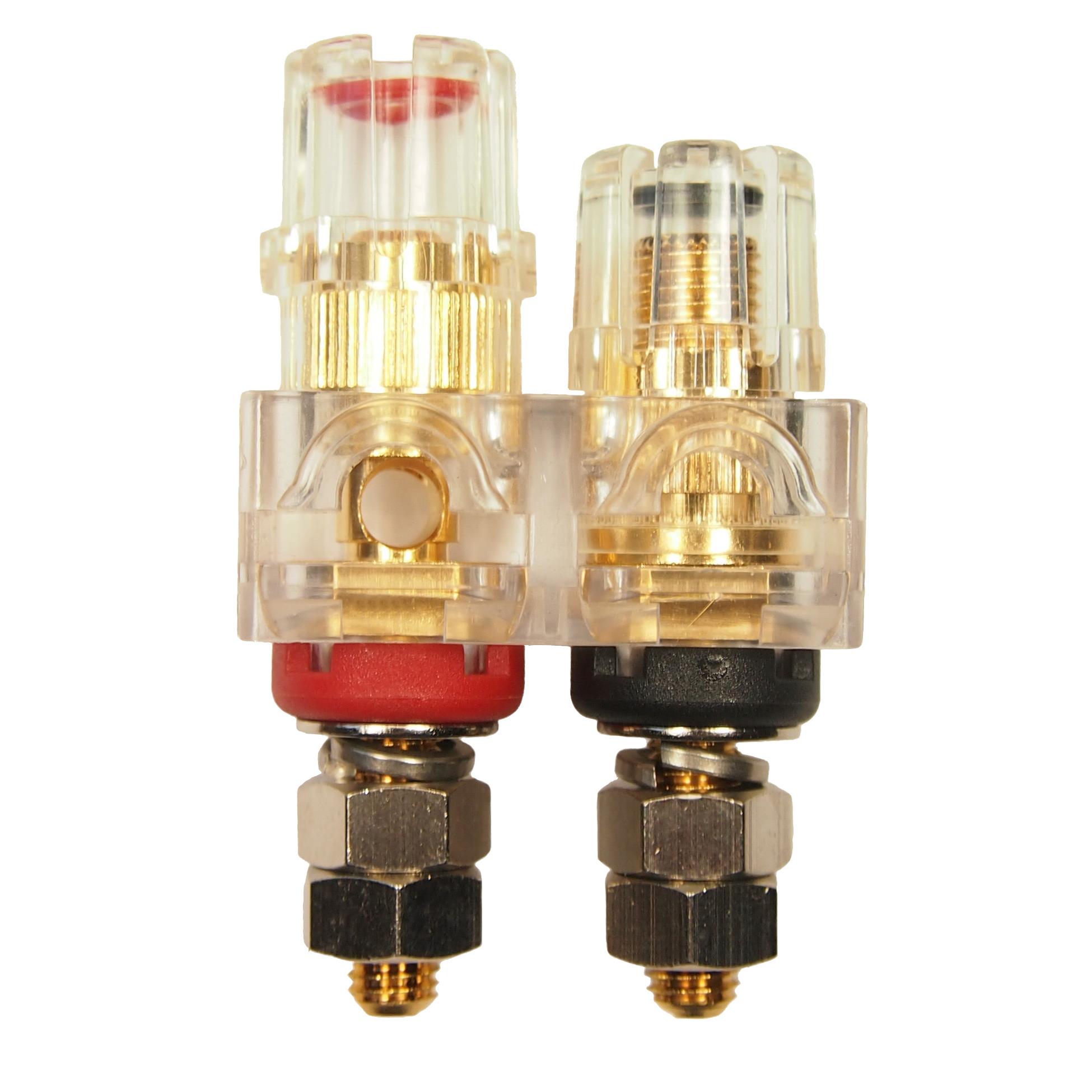 TPP60CSG CLEAR RED BLACK GOLD TPP60CSG CLEAR RED BLACK GOLD