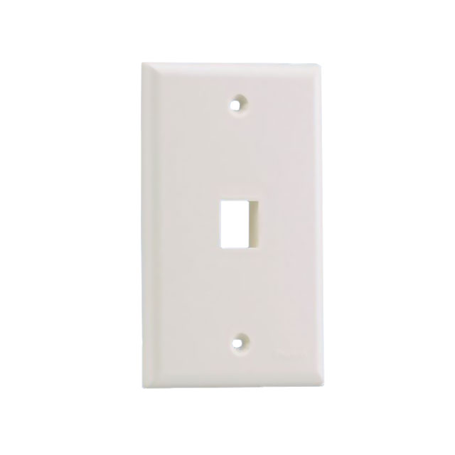 FACEPLATE FLUSH MOUNT