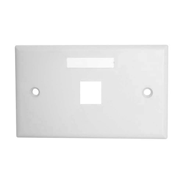 KEYSTONE WALL PLATE W/ ICON SLOT