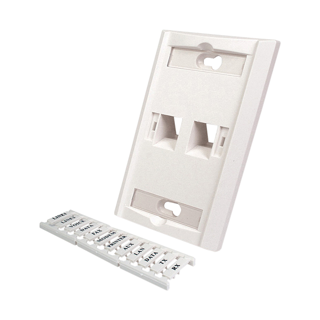 KEYSTONE WALL PLATE W/ ICON SLOT