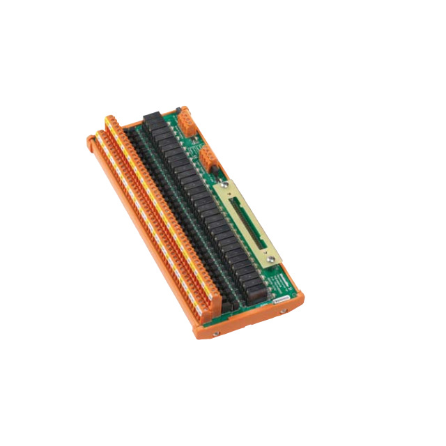 RSM 32 IN 24 VDC AKB 331