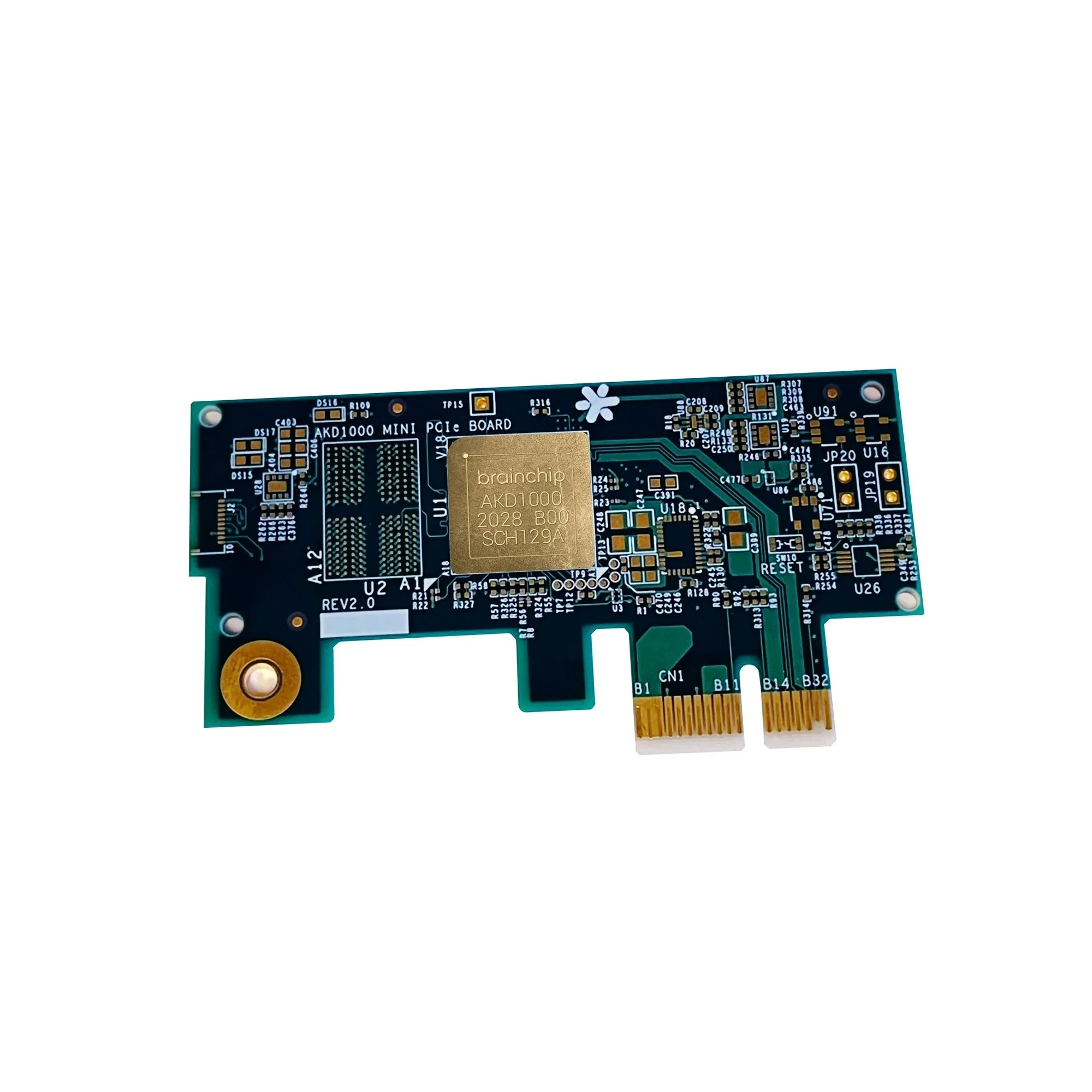AKD1000 PCIe Development Board
