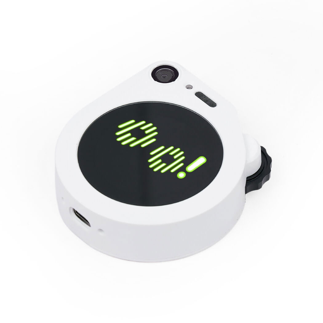 SENSECAP WATCHER W1-B AI AGENT