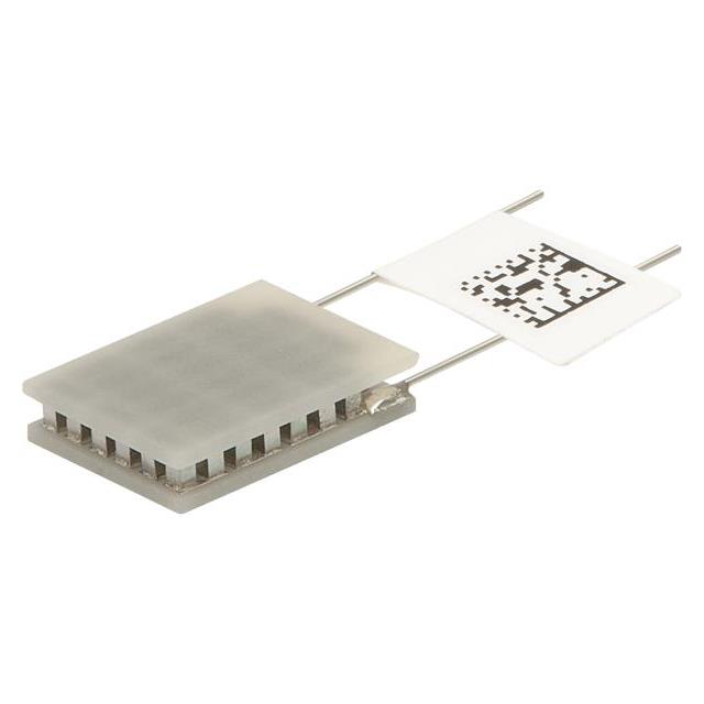 OTX19,23,F1N,0608,11,W2.25 OTX19,23,F1N,0608,11,W2.25